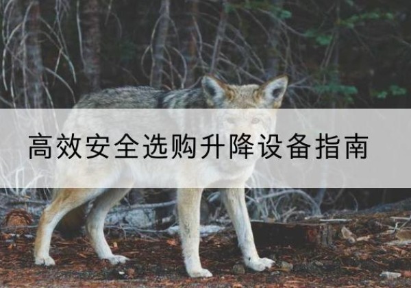 安化升降货梯厂家推荐-*安全选购升降设备指南