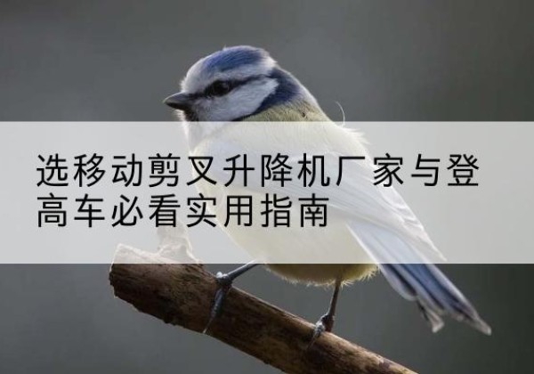 安化电动升降机厂家-选移动剪叉升降机厂家与登高车必看实用指南