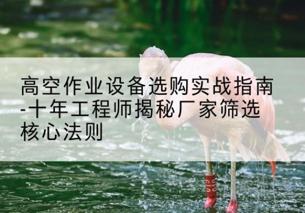 安化剪叉式升降机厂家-高空作业设备选购实战指南-十年工程师揭秘厂家筛选核心法则